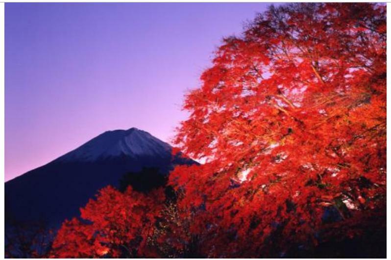 Villa Erable Mt.Fuji "Kaze" Fujikawaguchiko Exterior foto